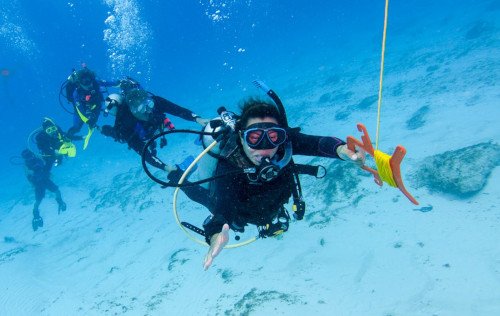Drift Diver