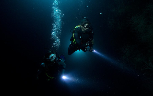 Night Diver