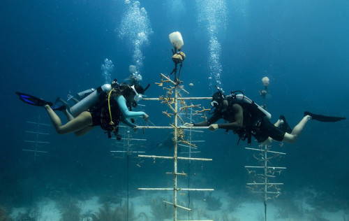 Peak Performance Buoyancy