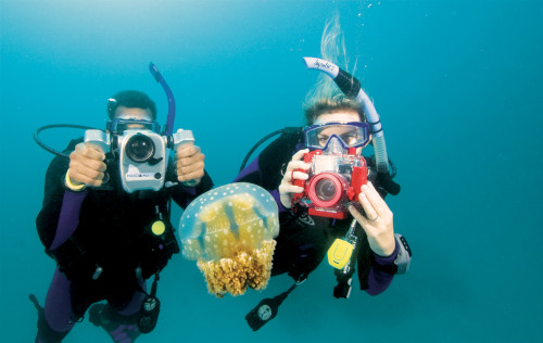 Under Water Photography