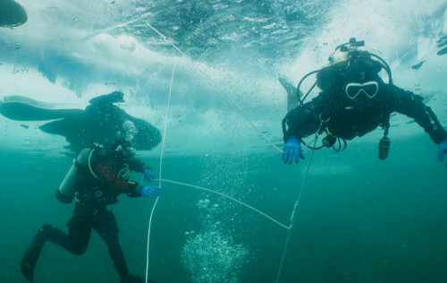 Ice Diver