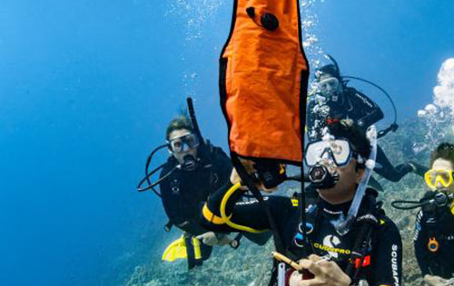 Search and Recovery Diver