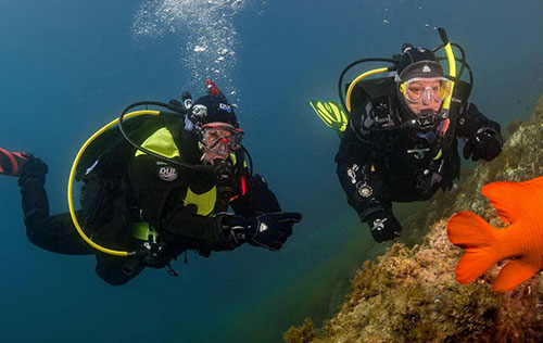Dry Suit Diver