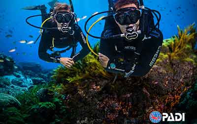 Underwater Naturalist