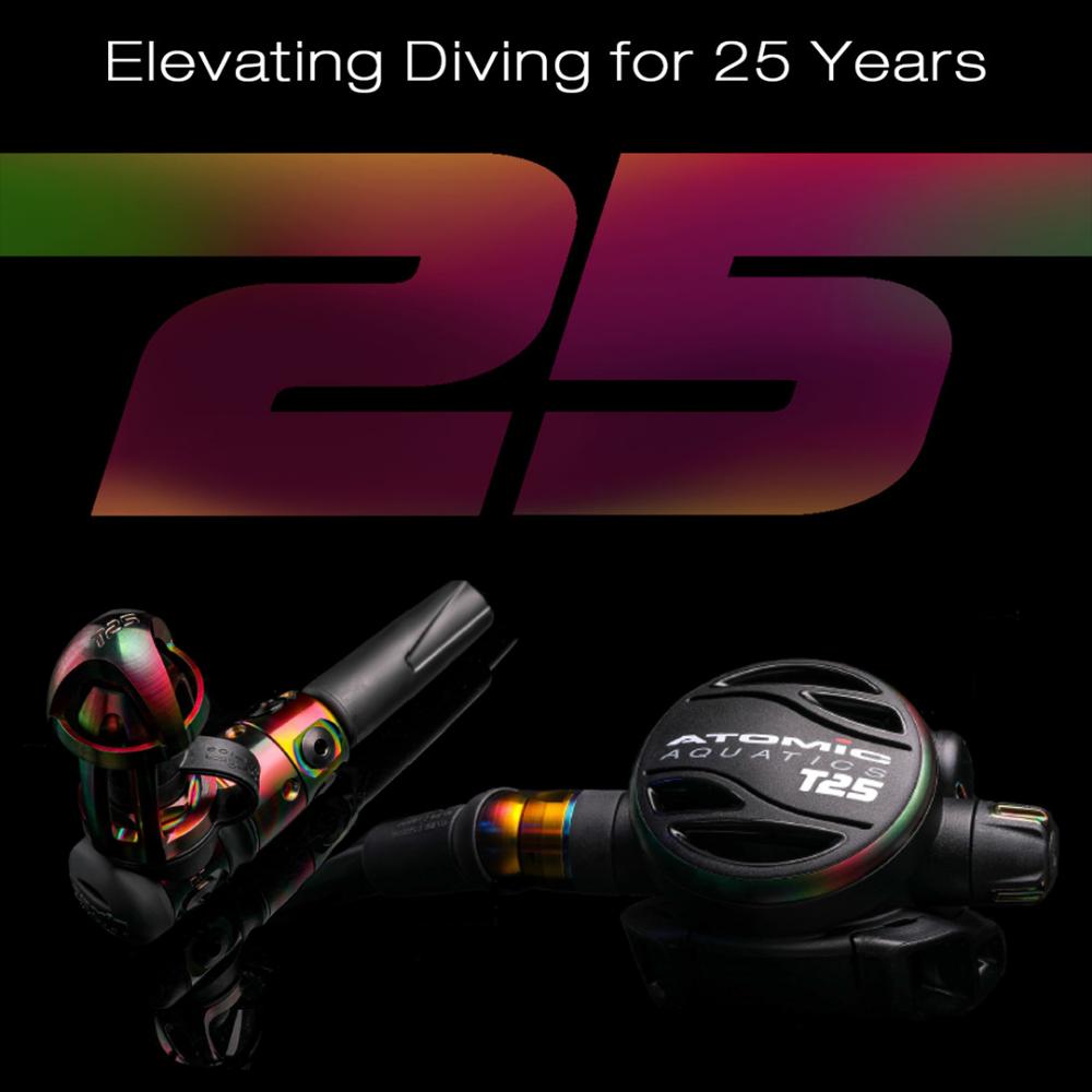 ATOMIC T25 YOKE, SEALED | BLACK