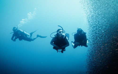 Deep Diver