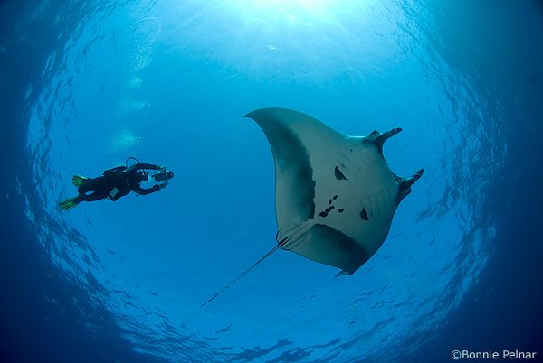 SOCORRO ISLAND